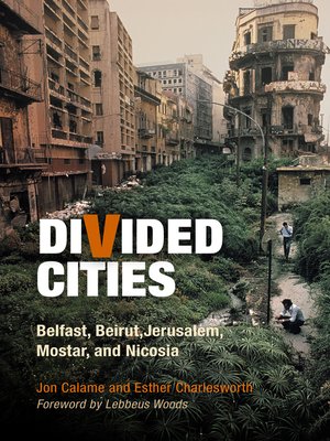 cover image of Divided Cities